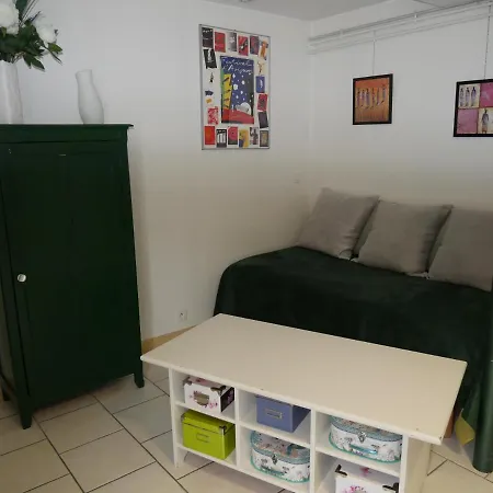 Aux Minimes - Au Jardin Des Alouettes Apartamento Toulouse