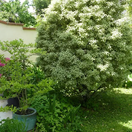 Aux Minimes - Au Jardin Des Alouettes