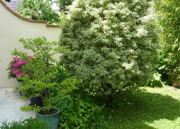 Aux Minimes - Au Jardin Des Alouettes